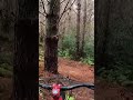 Got Absolutely Covered In Mud Today Polygonbike Gopromtb Mountainbiking Shimanomtb Mtb