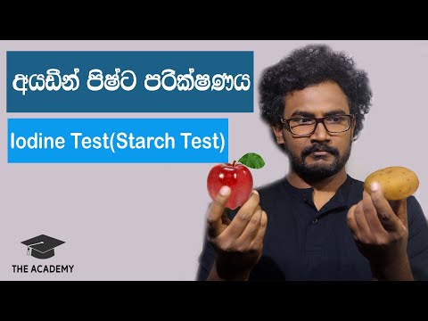 How to do Starch Test |  පිෂ්ට පරික්ෂාව |Iodine test |Pishta Parikshawa|The Academy SL | (Sinhala)
