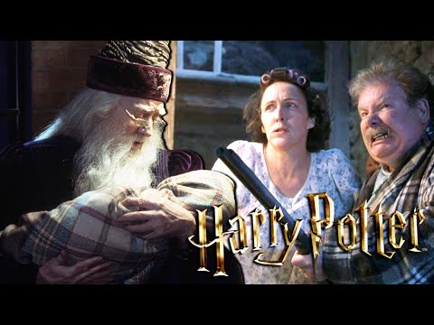 Was wäre wenn HARRY POTTER von den DURSLEYS ABGELEHNT worden wäre?! 😱