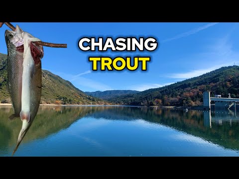Trout Fishing 4 SoCal Lakes in 2 Days