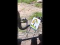 After Bullied By His Own Heard This Elephant Started Literally Painting That Ll Make You Cry