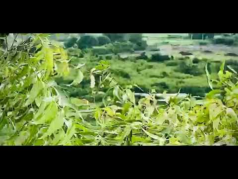 Walkthrough Walkthrough