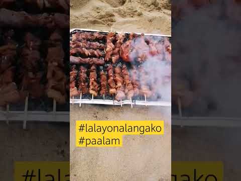#lalayonalangako#shortvideo #bbq#paalam