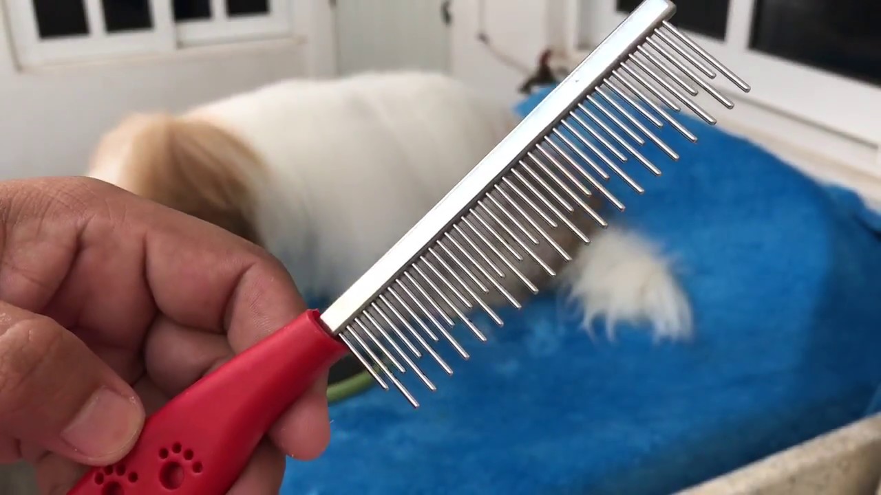 Levadura de Cerveza | La Casita de los ShihTzu