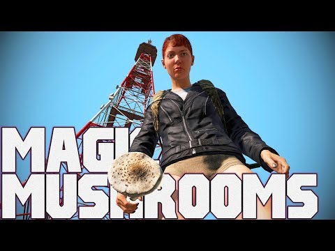 Magic Mushrooms: A Trip to Find the New Village (DayZ Village)