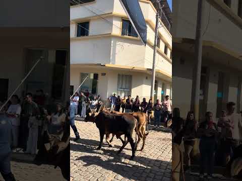 Alto Jequitibá Minas Gerais