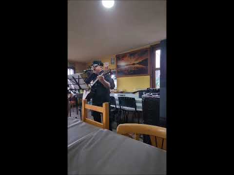 El oso... Moris  (cover)