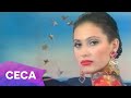 Ceca Sta Je To U Tvojim Venama Official Video 1993