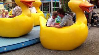 Roller Coaster Accident Crazy Duck