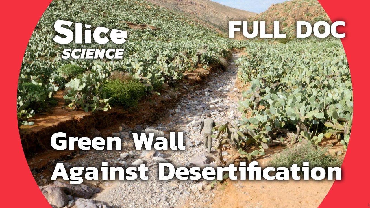 Fighting Sahara Desertification: The Green Wall Project | SLICE SCIENCE | FULL DOC