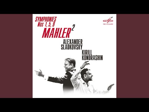 Symphony No. 5: II. Stürmisch bewegt - Mit größter Vehemenz