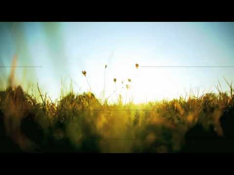 Dirty Vegas - Little White Doves (Zyblot Remix)