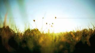 Dirty Vegas - Little White Doves (Zyblot Remix)