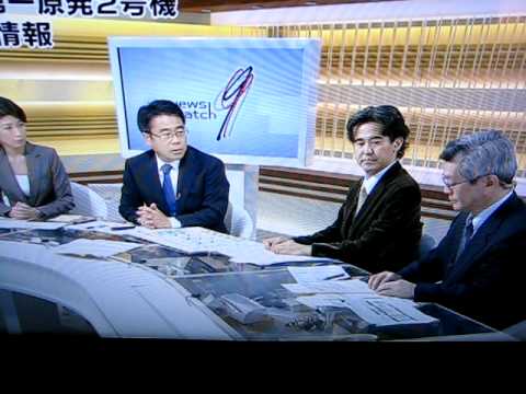 Fukushima Dai ichi Nuclear Reactor Japan - Simple explanation of Problem in English
