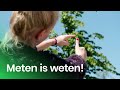 Hoe meet je een boom met je duim? | Geen wonder
