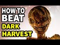 How To Beat THE DEATH GAME In DARK HARVEST