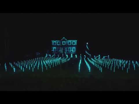 Noel  - Tommee Profitt - 2024 The Anderson's Light Show