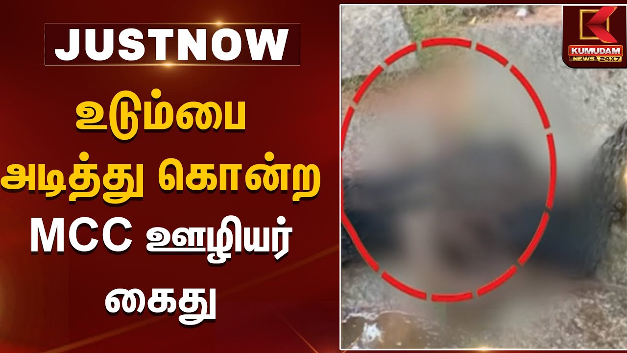 உடும்பை அடித்து கொன்ற MCC ஊழியர் கைது | Kumudam News