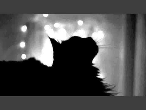 Brian Eno and David Byrne - The Jezebel Spirit (1987 RTR) (Peter Black remix)