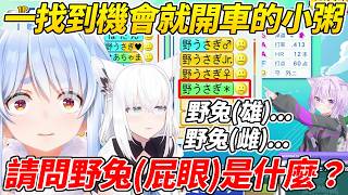 只是打個棒球也能不斷在奇怪的地方找到黃色笑話的小粥ww【兔田佩可拉/白上吹雪/貓又小粥】【ホロライブ切り抜き】【HOLOLIVE中文】