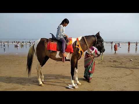 Jishnu Horse riding at Bapatla Beach | Jishnu Sree Mulaga | Beach Vibes | Suryalanka