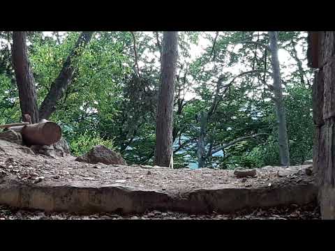 Efectul Schlieren La Mofetă. 4.VIII.2021.