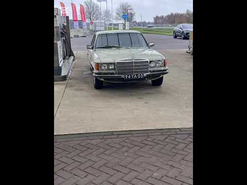 New New   2026 Mladen peveca za dakata