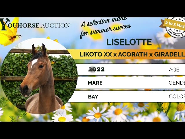 Liselotte homevideo