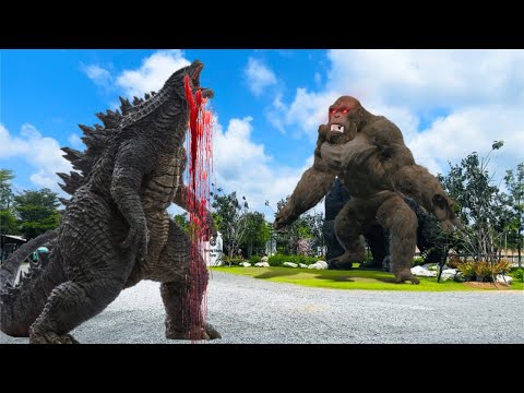 Godzilla vs. Kong - KING KONG EN LA VIDA REAL
