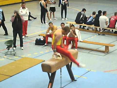 Landesliga 2011 Pferd