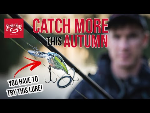 CATCH MORE FISH THIS AUTUMN ON LURES! From Creature Baits to Crank Baits!