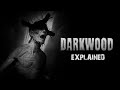 Darkwood Explained | Darkwood Lore