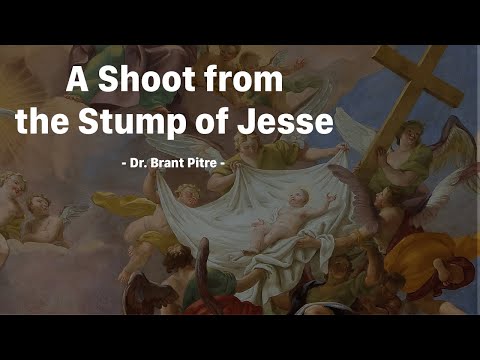 The Messiah: A Shoot from the Stump of Jesse