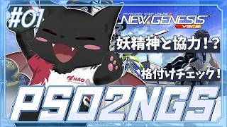 【PSO2：NGS/公認配信】ARKS MasterPiece！なぜかナベリウス妖精神とチームで格付けチェック