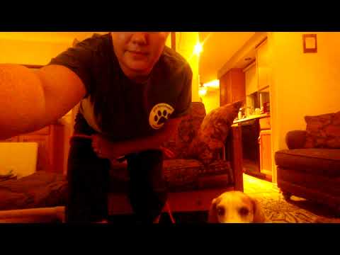 download lagu mp3 mp4 Margot Woods Dog Training, download lagu Margot Woods Dog Training gratis, unduh video klip Margot Woods Dog Training