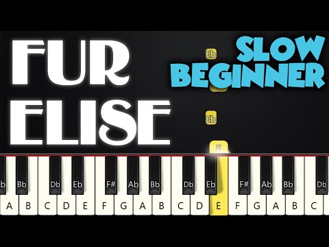 Fur Elise - Beethoven | SLOW BEGINNER PIANO TUTORIAL + SHEET MUSIC by Betacustic