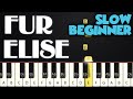 Fur Elise Beethoven SLOW BEGINNER PIANO TUTORIAL SHEET MUSIC By Betacustic