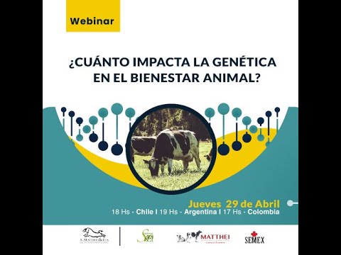 , title : '¿Cuánto impacta la genética en el bienestar animal?'