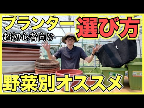 バルコニー野菜: 鉢植えや箱植えに最適な品種 庭の練習
