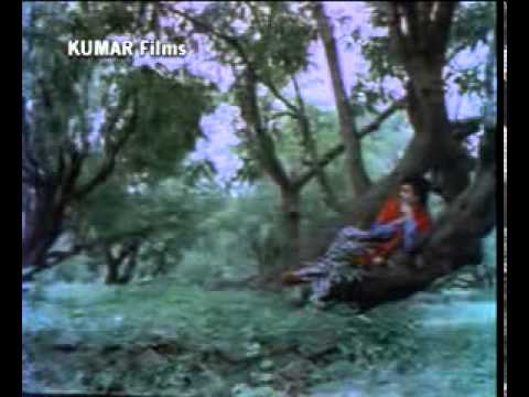 tappe by mohd saddiq movie rano.avi