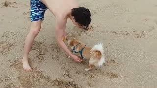 20250521 Daecheon Beach 2