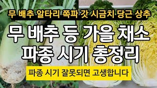 김장 무 배추 등 가을 채소 파종 시기 총정리(무 배추 알타리 쪽파 갓 시금치 당근 상추) 파종시기 잘못되면…