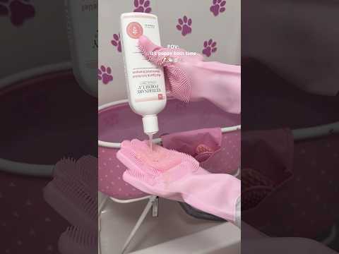 it’s bath time! #shorts #puppy #pink #asmr #asmrvideo #poodle