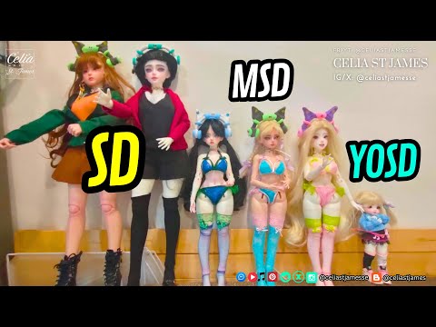 Comparing BJD Doll Sizes: SD, MSD and YOSD ✨ 🍋 Celia St. James