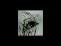 You Probably Did It Just To Hurt Me X Teeth Tiktok Audio