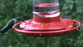 EVANGELINE  .....  Hal Ketchum