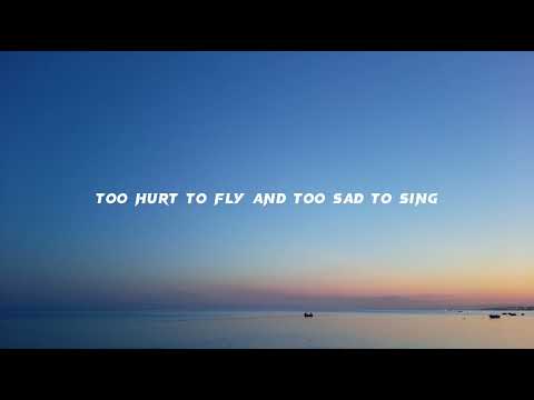 Freedom Feels Like Loneliness Today - John Wesley Ryles