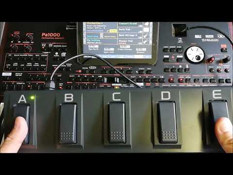 KORG EC5 pedaliera 5 switch image 9