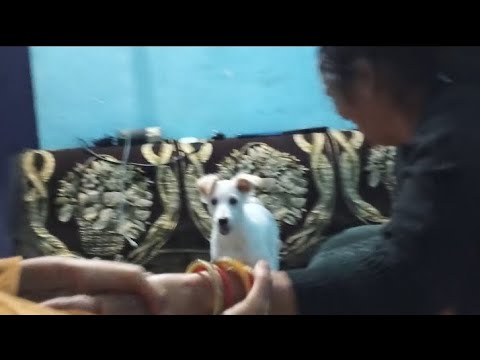 Daizy toh har jaghe jana seekh gyi🙌🤗