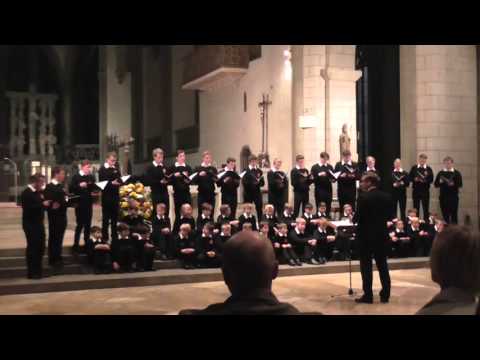 Augsburger Domsingknaben (A-Chor) "O lux beata trinitas" Mendelssohn Bartholdy Augsburger Dom 2015